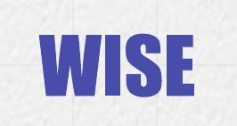 머리글 로고 WISE